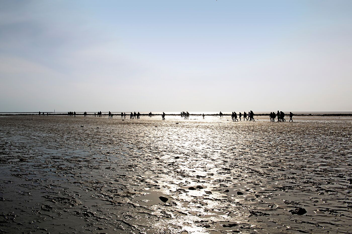 Die Nordsee bei Ebbe im Sonnenuntergang.