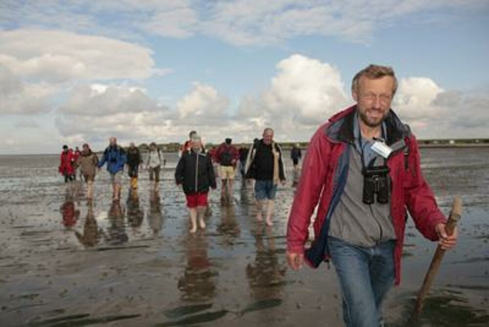 Eine Gruppe Menschen auf Wanderung durch den Schlick des Wattenmeeres.