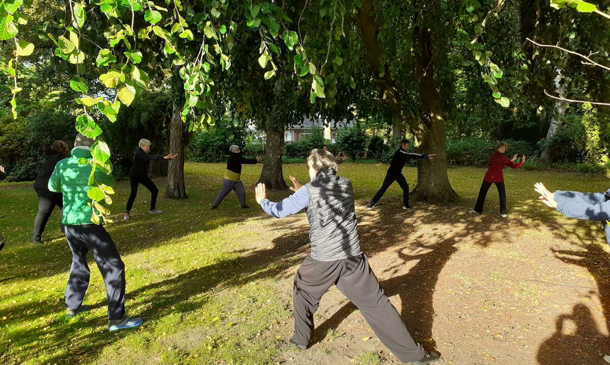 Eine Gruppe Erwachsener macht Qi-Gong-Übungen in einem Waldstück