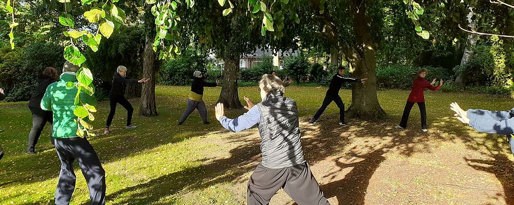 Eine Gruppe Erwachsener macht Qi-Gong-Übungen in einem Waldstück